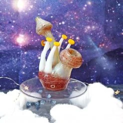 Shop Burning Love Pipes Life On Mars Bubbler