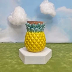Burning Love Pineapple Stash Jar Storage