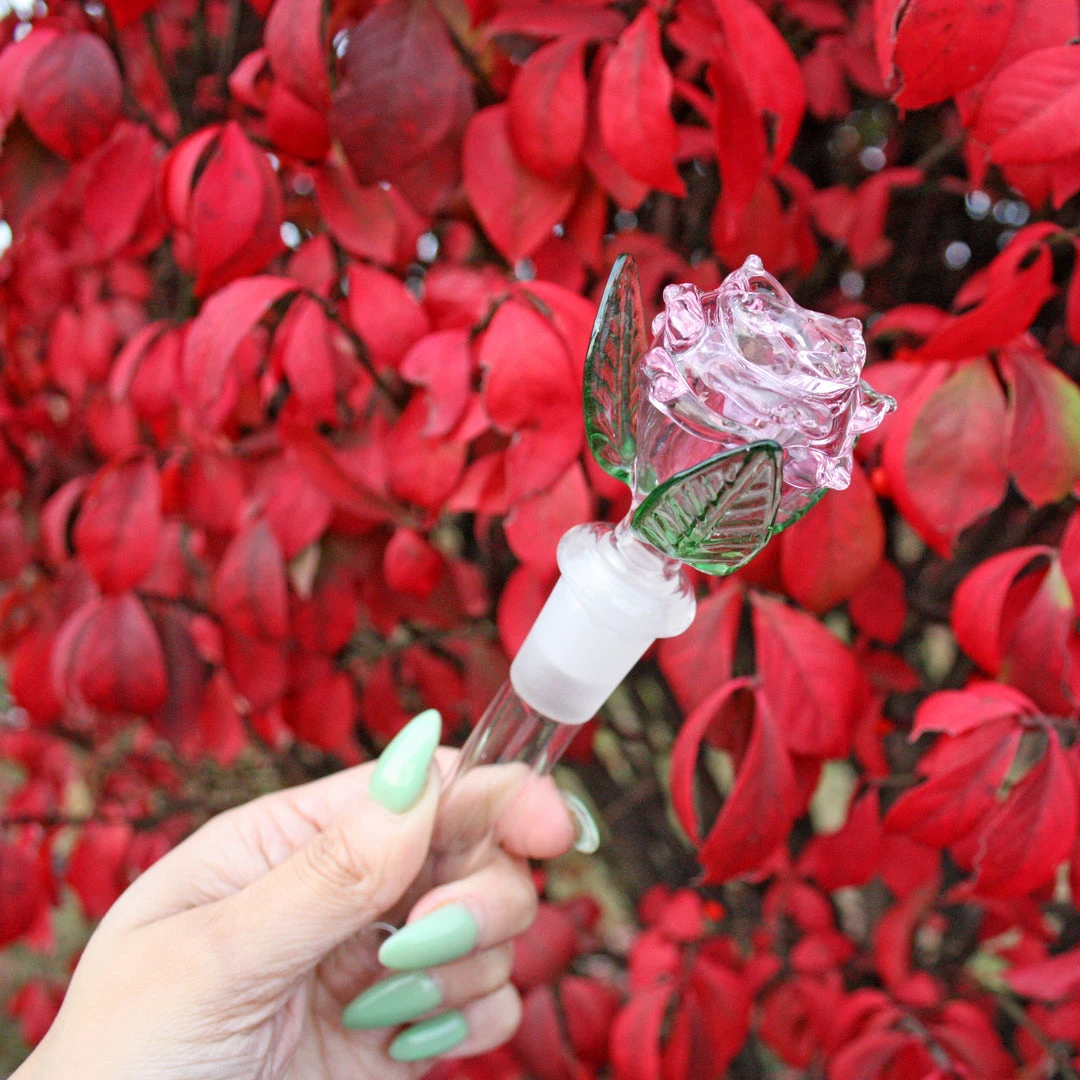 Burning Love Rosie, The Bong 7 Burning Love Rosie, The Bong