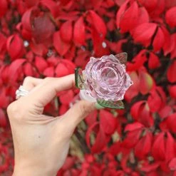 Burning Love Rosie, The Bong 24 Burning Love Rosie, The Bong