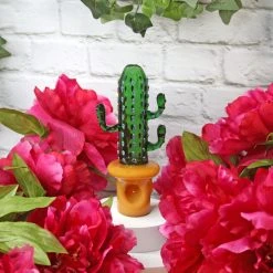 Burning Love Pipes Succulent Garden Pipe Set